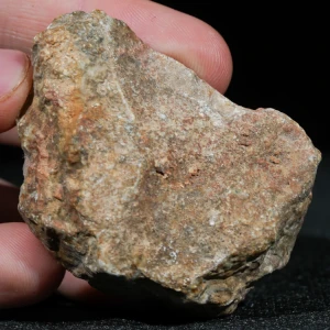 skamienialy-koralowiec-z-maroka-skamienialosci (17).webp