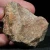 skamienialy-koralowiec-z-maroka-skamienialosci (17).webp