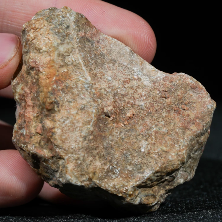 skamienialy-koralowiec-z-maroka-skamienialosci (17).webp