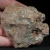 skamienialy-koralowiec-z-maroka-skamienialosci (50).webp