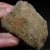 skamienialy-koralowiec-z-maroka-skamienialosci (5).webp
