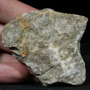 skamienialy-koralowiec-z-maroka-skamienialosci (45).webp