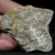 skamienialy-koralowiec-z-maroka-skamienialosci (45).webp