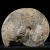 amonit-polerowany-przeciety-skamienalosci (40).webp