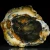 opal-mleczny-z-turcji-naturalny (31).webp