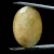 naturalny-heliodor-klejnot-zolty (5).webp