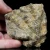 skamienialy-koralowiec-z-maroka (6).webp