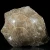 skamienialy-koralowiec-z-maroka (7).webp