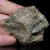 skamienialy-koralowiec-z-maroka (8).webp