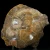 skamienialy-koralowiec-z-maroka (13).webp
