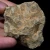 skamienialy-koralowiec-z-maroka (18).webp