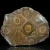 skamienialy-koralowiec-z-maroka (21).webp