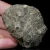 skamienialy-koralowiec-z-maroka (22).webp