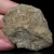 skamienialy-koralowiec-z-maroka (36).webp
