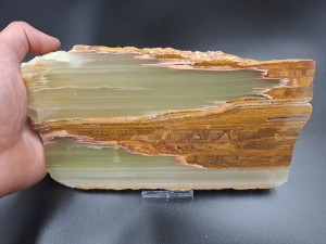 20230825_132627.jpg