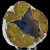 agaty-naturalne-kolekcjonerskie-kamienie (69).webp