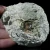agaty-naturalne-kolekcjonerskie-kamienie (52).webp