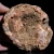 agaty-naturalne-kolekcjonerskie-kamienie (206).webp