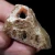 agat-malawi-afryka-kolorowy-naturalny (104).webp