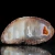 agat-malawi-afryka-kolorowy-naturalny (31).webp