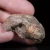 agat-malawi-afryka-kolorowy-naturalny (15).webp