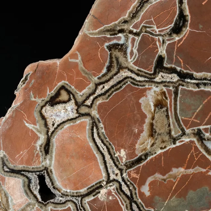 Septarie-smoczy-kamien-septarian (8) (Copy).webp