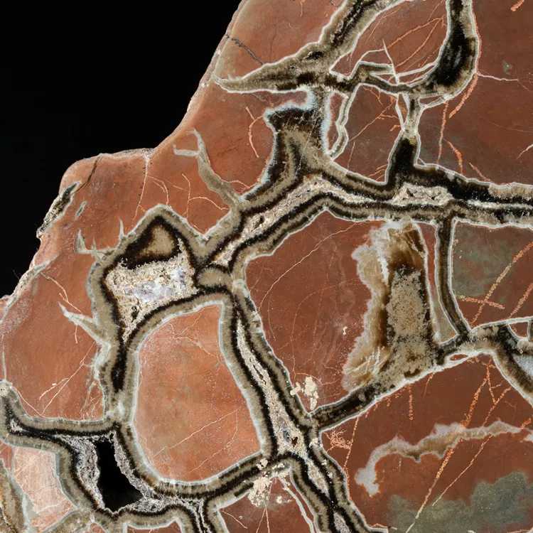 Septarie-smoczy-kamien-septarian (8) (Copy).webp