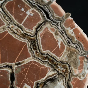 Septarie-smoczy-kamien-septarian (9) (Copy).webp