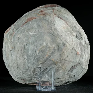 Septarie-smoczy-kamien-septarian (6) (Copy).webp