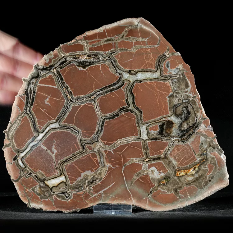 Septarie-smoczy-kamien-septarian (11) (Copy).webp