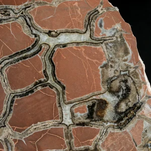 Septarie-smoczy-kamien-septarian (12) (Copy).webp