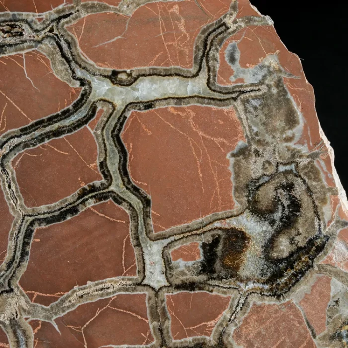 Septarie-smoczy-kamien-septarian (12) (Copy).webp