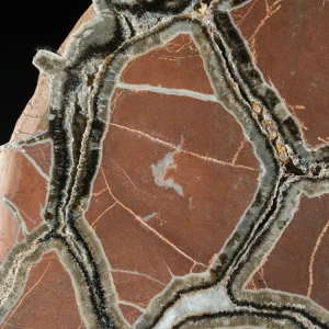 Septarie-smoczy-kamien-septarian (13) (Copy).webp