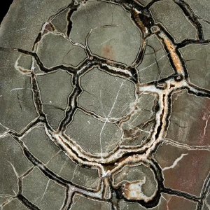 Septarie-smoczy-kamien-septarian (16) (Copy).webp