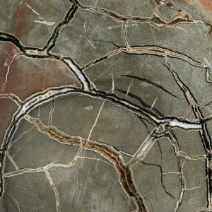 Septarie-smoczy-kamien-septarian (17) (Copy).webp