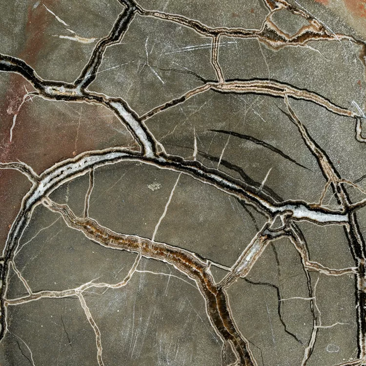 Septarie-smoczy-kamien-septarian (17) (Copy).webp