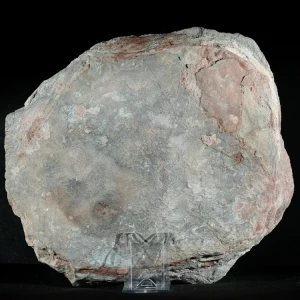 Septarie-smoczy-kamien-septarian (18) (Copy).webp