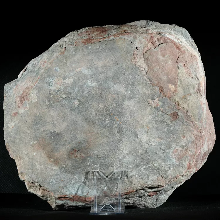 Septarie-smoczy-kamien-septarian (18) (Copy).webp