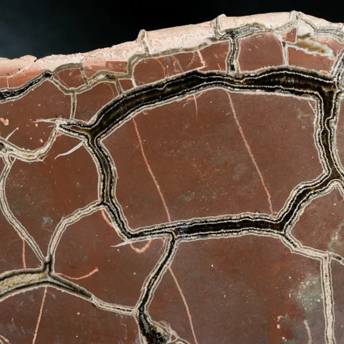 Septarie-smoczy-kamien-septarian (20) (Copy).webp