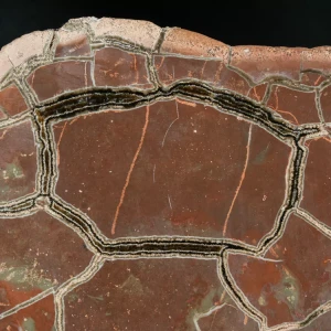Septarie-smoczy-kamien-septarian (36) (Copy).webp