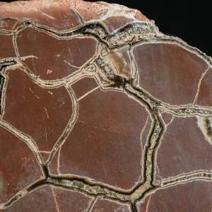 Septarie-smoczy-kamien-septarian (37) (Copy).webp