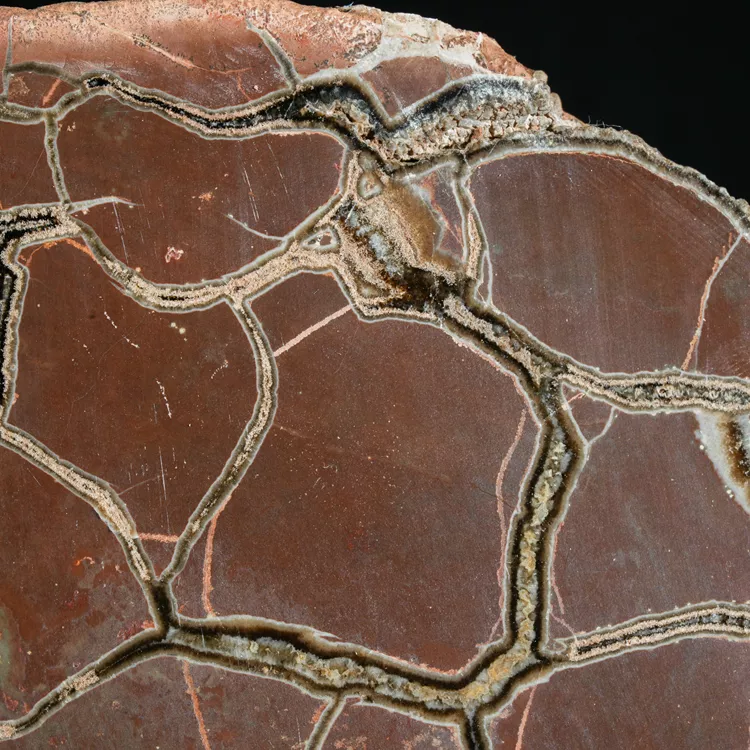 Septarie-smoczy-kamien-septarian (37) (Copy).webp