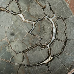 Septarie-smoczy-kamien-septarian (61) (Copy).webp