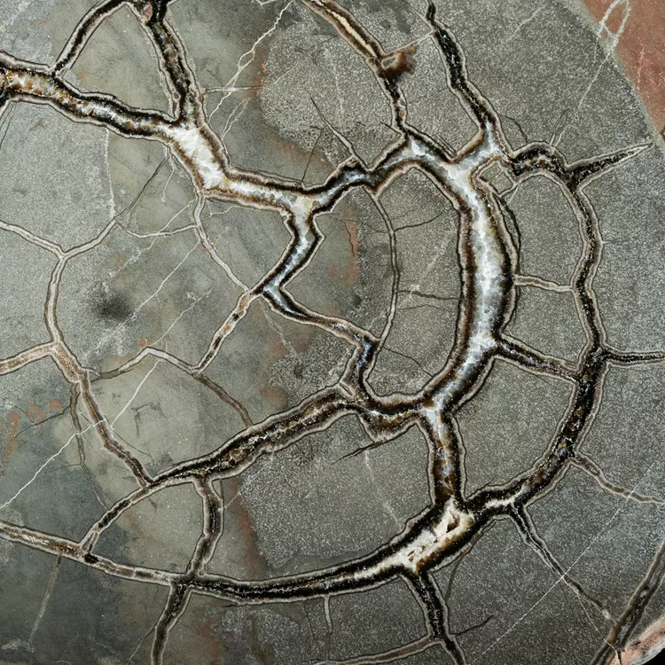 Septarie-smoczy-kamien-septarian (61) (Copy).webp