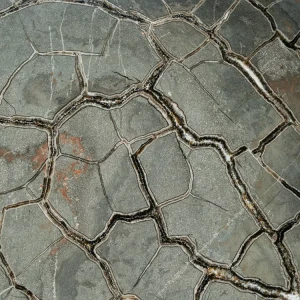 Septarie-smoczy-kamien-septarian (62) (Copy).webp