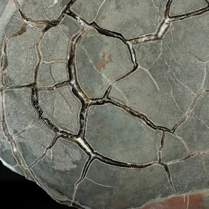 Septarie-smoczy-kamien-septarian (65) (Copy).webp