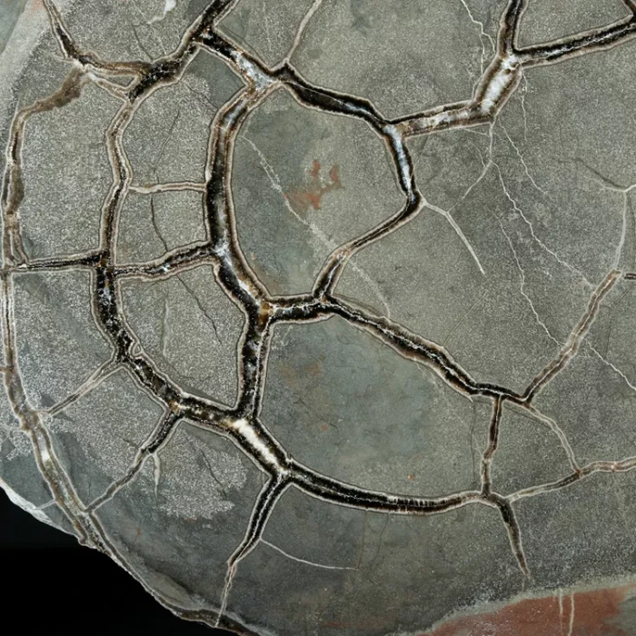Septarie-smoczy-kamien-septarian (65) (Copy).webp