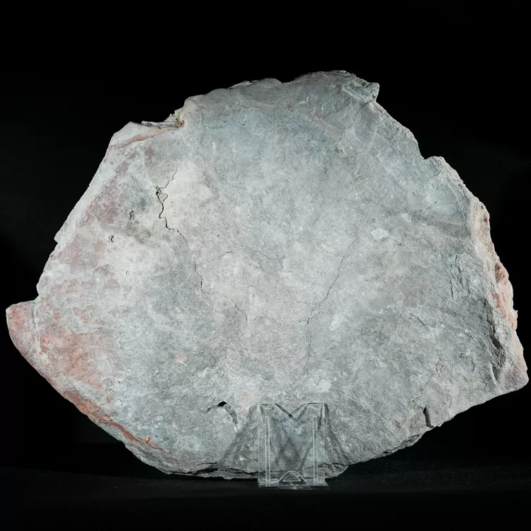 Septarie-smoczy-kamien-septarian (67) (Copy).webp