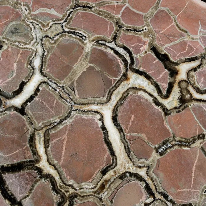 Septarie-smoczy-kamien-septarian (48) (Copy).webp