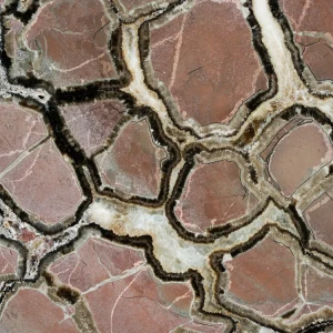 Septarie-smoczy-kamien-septarian (49) (Copy).webp